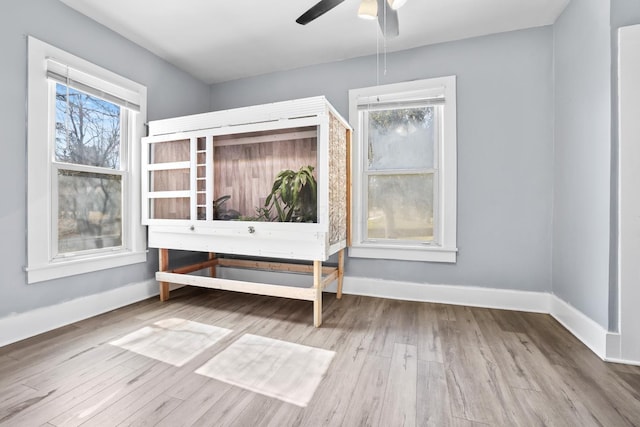 unfurnished bedroom with ceiling fan, baseboards, and wood finished floors