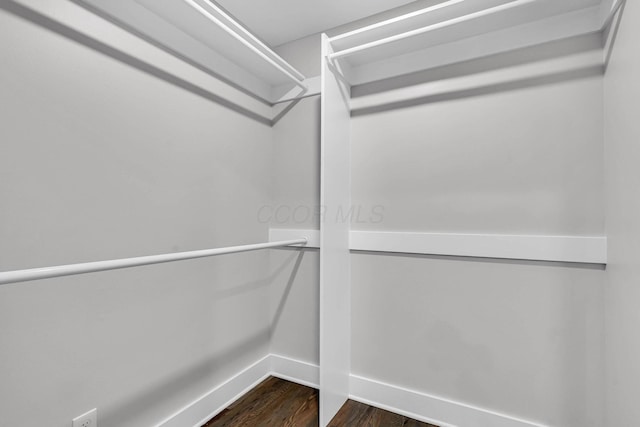 spacious closet with dark wood-style floors