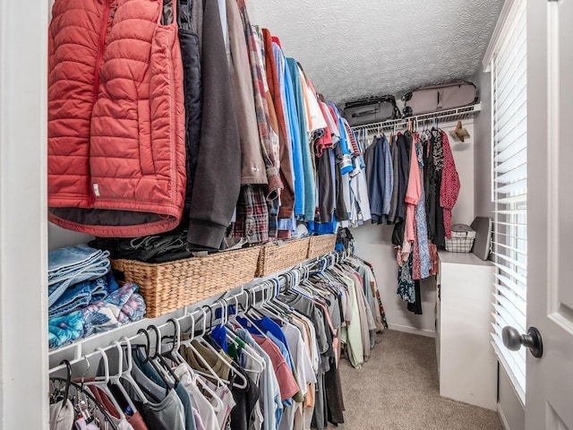 spacious closet with carpet