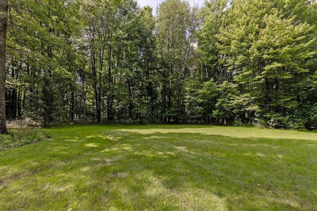 view of yard featuring a view of trees