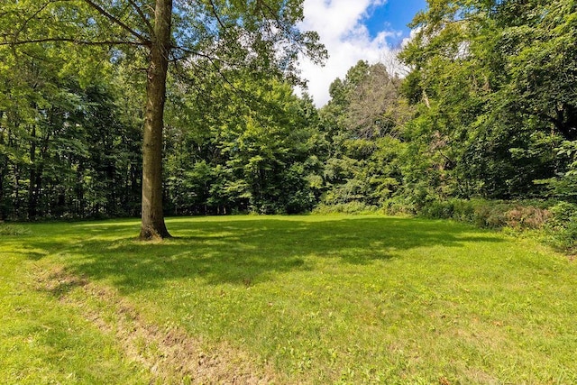 view of yard with a forest view