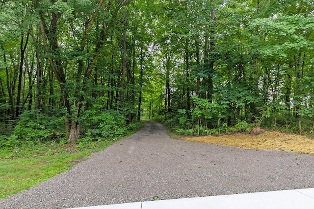 view of road featuring a wooded view