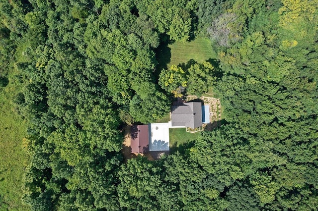 bird's eye view with a view of trees