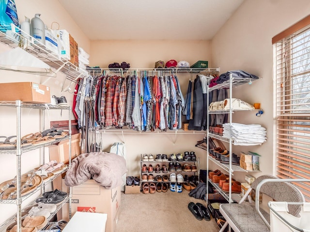 spacious closet with carpet flooring