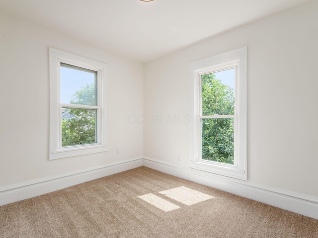 spare room featuring carpet floors