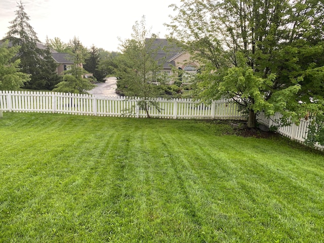 view of yard with a fenced backyard