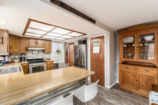 kitchen with baseboards, under cabinet range hood, dark wood finished floors, a peninsula, and stainless steel appliances