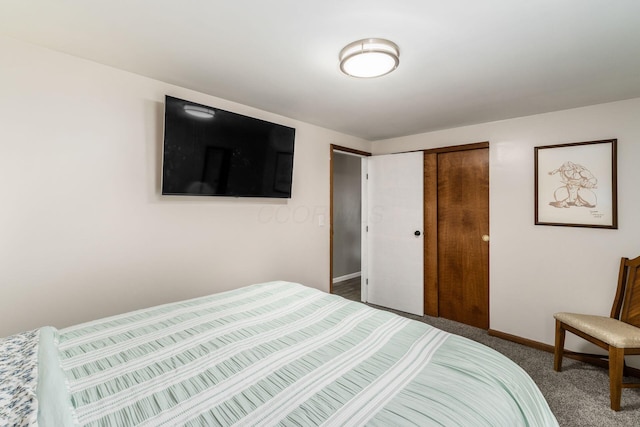 bedroom with a closet, baseboards, and carpet flooring