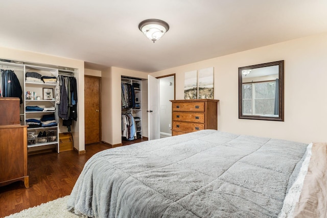 bedroom featuring two closets and wood finished floors