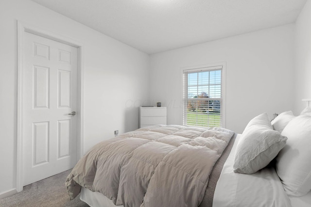 bedroom featuring carpet flooring