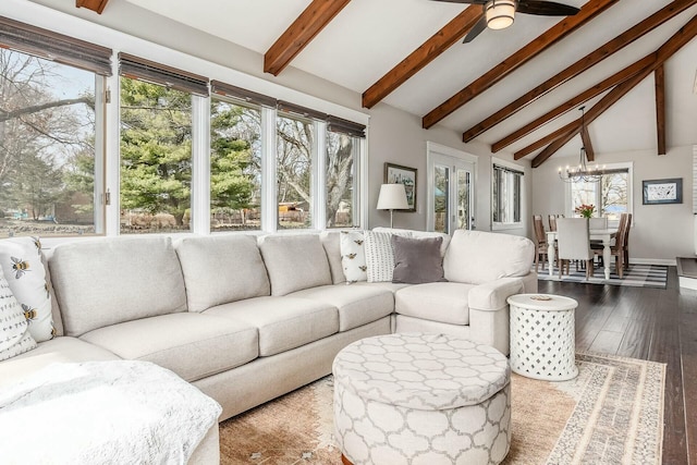 living area with a healthy amount of sunlight, wood finished floors, vaulted ceiling with beams, and ceiling fan with notable chandelier