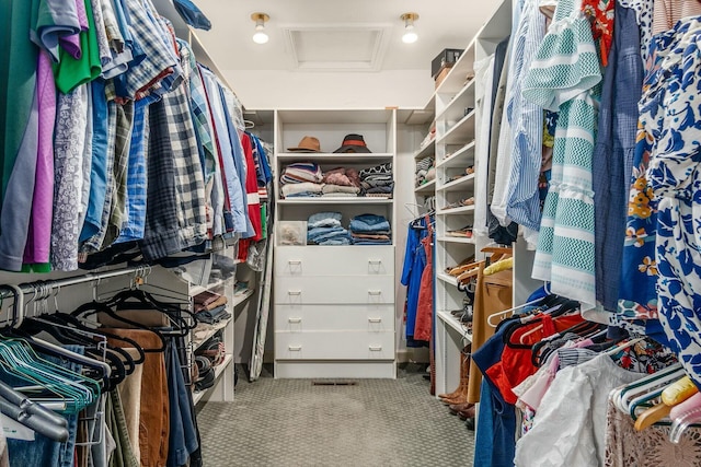 walk in closet featuring attic access and carpet