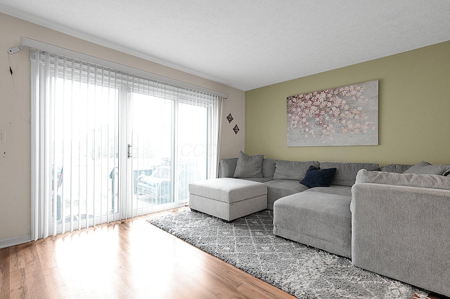 living area featuring a textured ceiling and wood finished floors