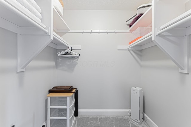 spacious closet with carpet floors