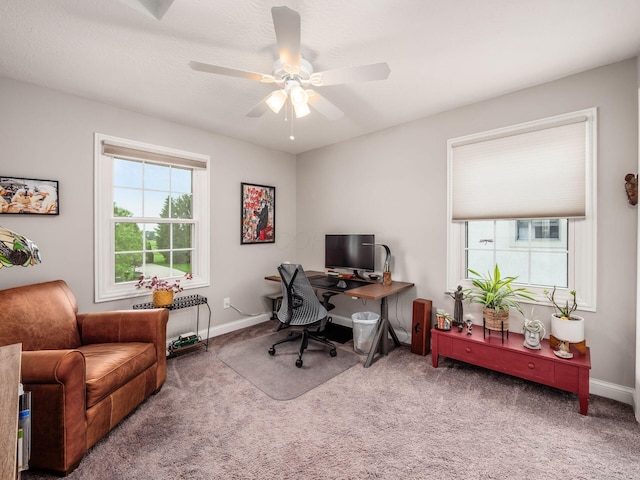 7969 Linksview Cir, Westerville, OH 43082 - office space featuring carpet and a ceiling fan