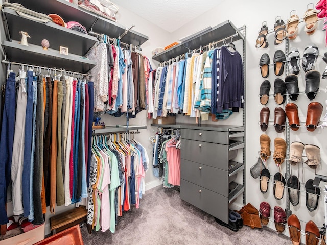 7969 Linksview Cir, Westerville, OH 43082 - walk in closet featuring carpet floors