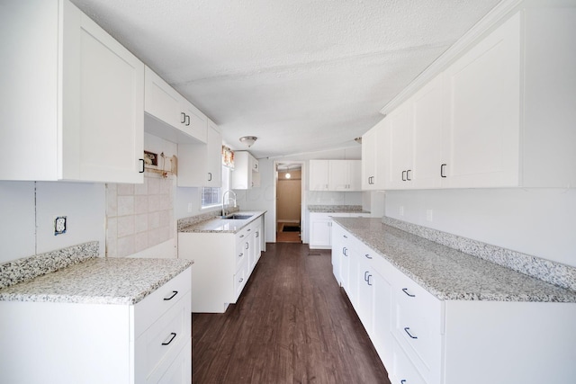 kitchen featuring dark wood-style floors, tasteful backsplash, a sink, and light stone counters