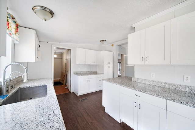 kitchen with light stone counters, dark wood-style flooring, white cabinets, and a sink