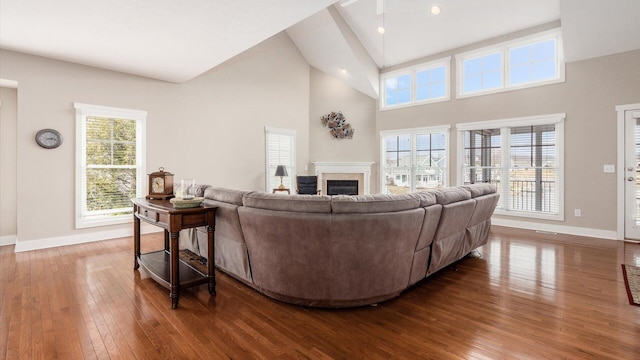 living area with hardwood / wood-style floors, a fireplace, and a wealth of natural light