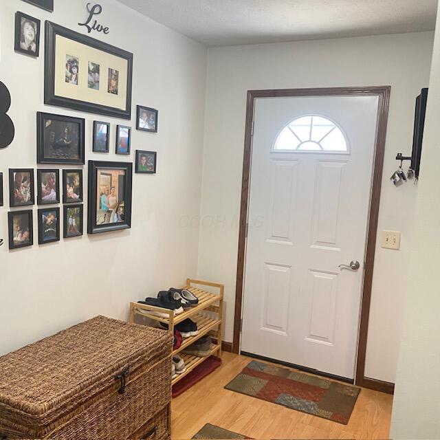 foyer entrance with baseboards and wood finished floors