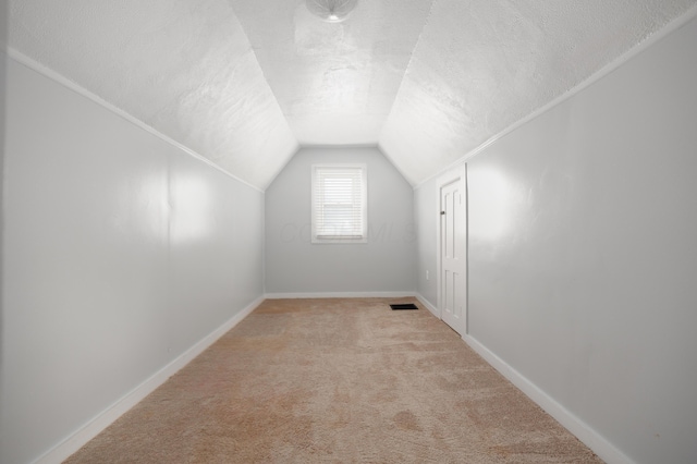 409 High St, Utica, OH 43080 - additional living space featuring vaulted ceiling, a textured ceiling, and light carpet