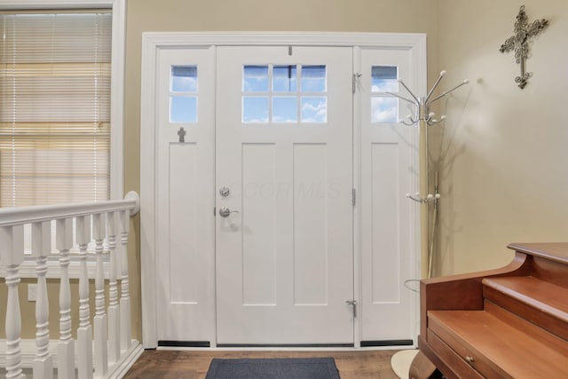 entryway featuring a wealth of natural light and wood finished floors