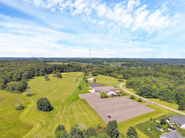 bird's eye view with a view of trees