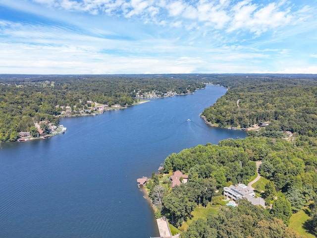 drone / aerial view with a water view and a forest view