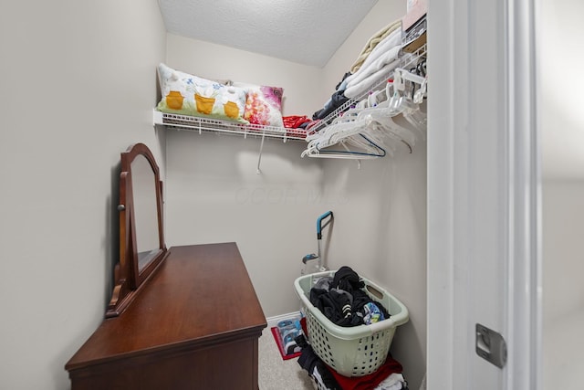 walk in closet featuring carpet floors