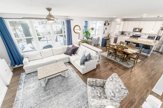 living room with a textured ceiling and dark wood finished floors