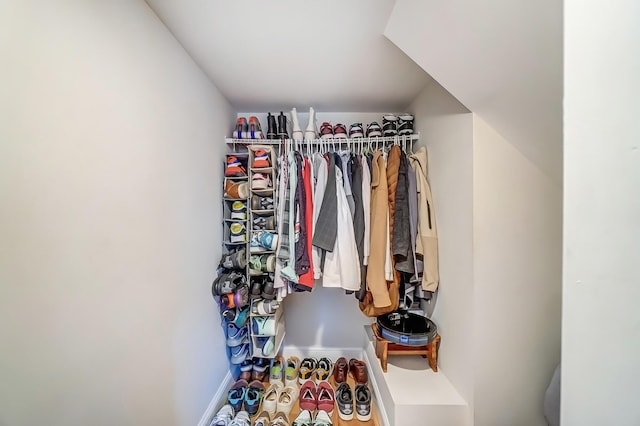 view of spacious closet