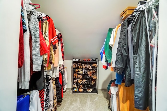 spacious closet featuring carpet flooring