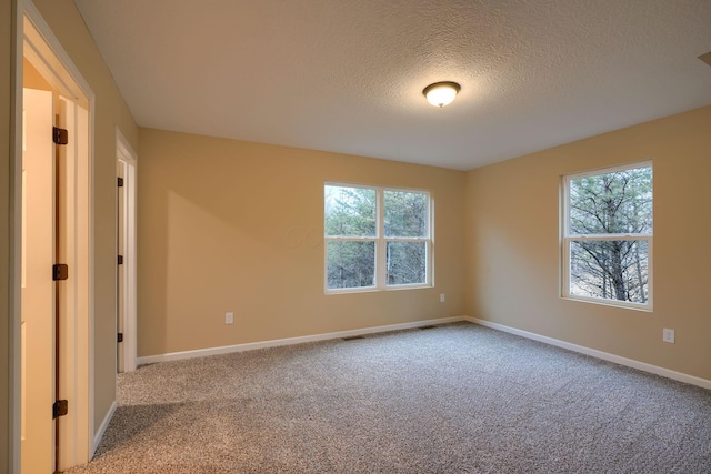 unfurnished room with carpet, a textured ceiling, plenty of natural light, and baseboards