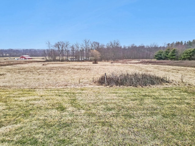 view of yard featuring a rural view