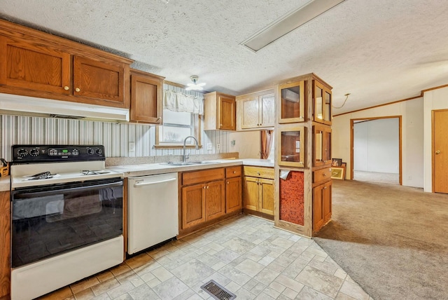 kitchen with dishwashing machine, under cabinet range hood, a sink, visible vents, and electric stove