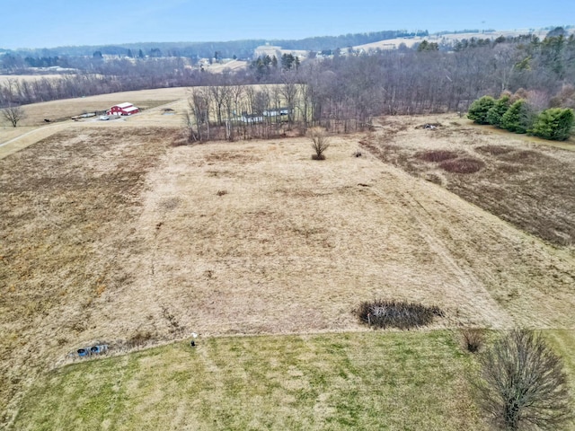 drone / aerial view featuring a rural view