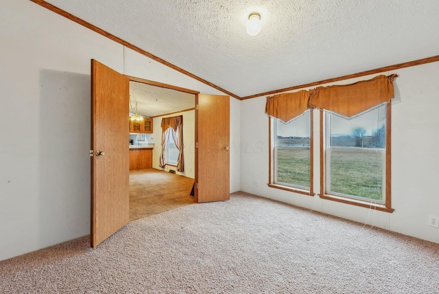 carpeted spare room with a healthy amount of sunlight, a textured ceiling, vaulted ceiling, and crown molding