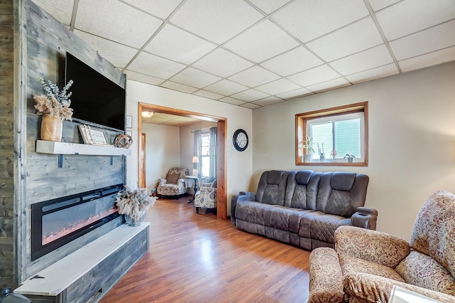 living room with a fireplace, wood finished floors, and a paneled ceiling