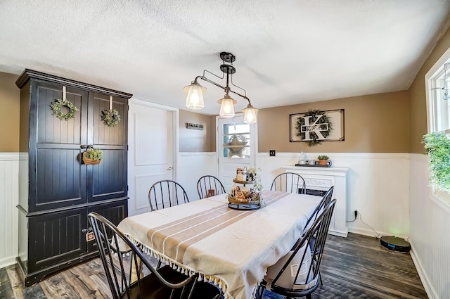 dining area featuring a wainscoted wall, a textured ceiling, and dark wood-style flooring