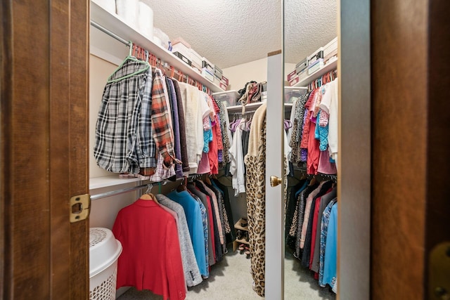 spacious closet featuring carpet