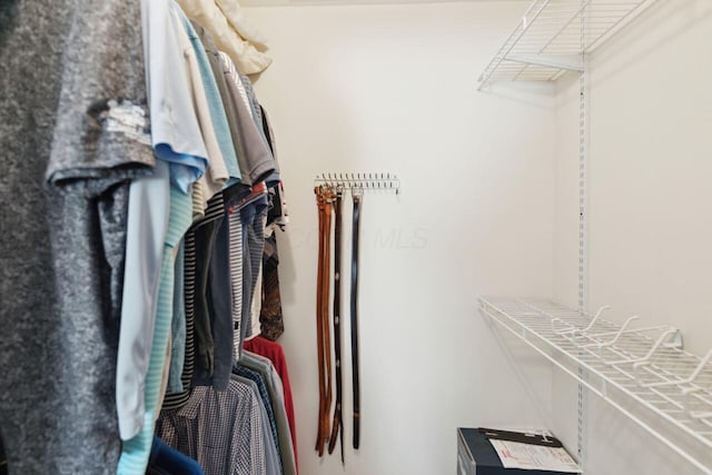 view of spacious closet