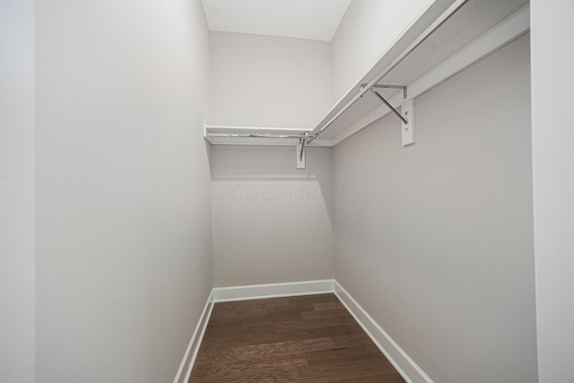 spacious closet featuring dark wood-style flooring