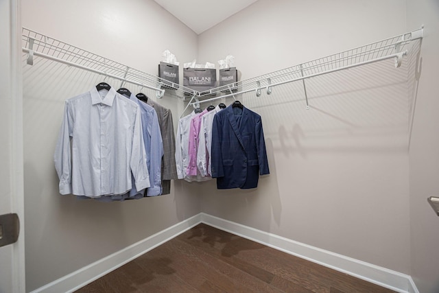 walk in closet featuring wood finished floors