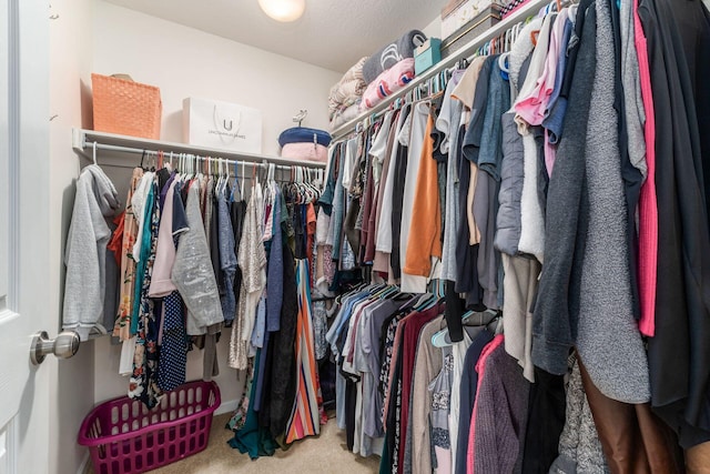 spacious closet featuring carpet