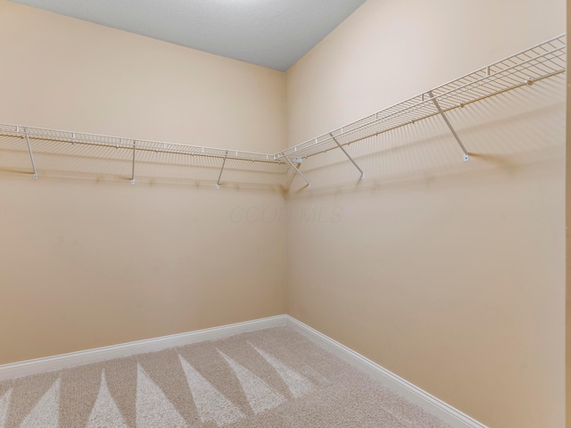 walk in closet with carpet flooring