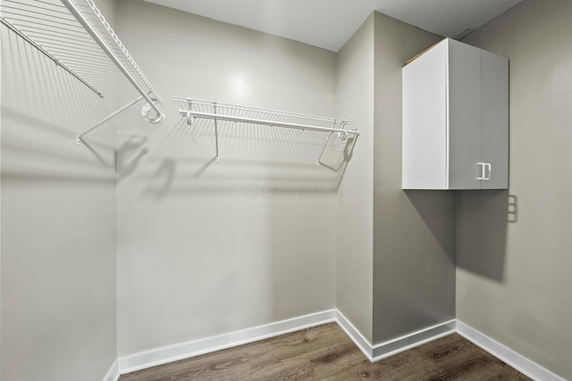 spacious closet with wood finished floors