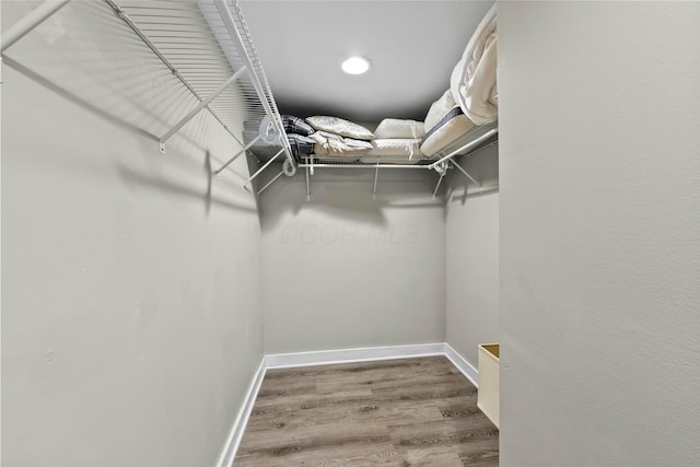 walk in closet featuring wood finished floors