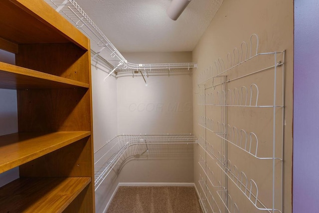 spacious closet featuring carpet floors