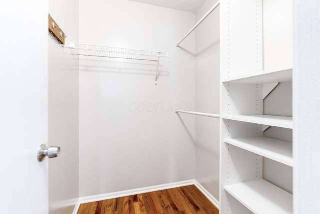 spacious closet featuring wood finished floors