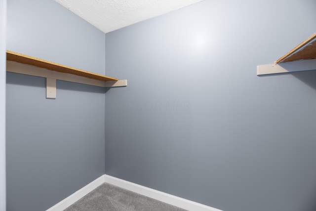 walk in closet with carpet flooring